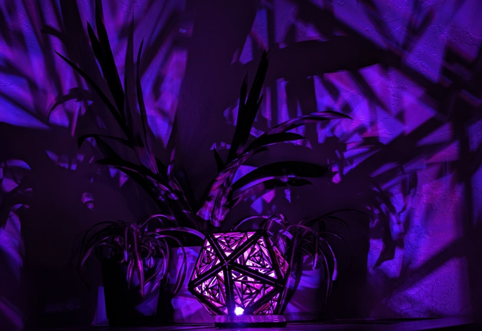 Geometric Rose Shadow Lamp: D20 Wood Night Light - Five Penny Piece